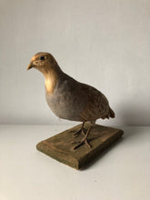 Load image into Gallery viewer, Vintage French Partridge
