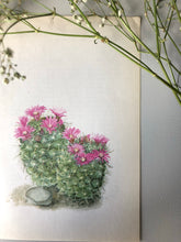 Load image into Gallery viewer, 1950s Botanical Cacti Print, Double Pink