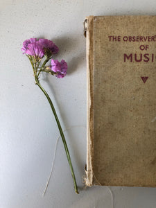 Observer Book of Music, worn