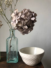 Load image into Gallery viewer, Vintage Pink Dotty Bowl