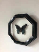 Load image into Gallery viewer, Octagonal Framed Vintage Butterfly