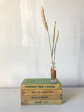 Load image into Gallery viewer, NEW - Set of Four Green Vintage Observer Books