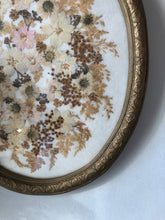 Load image into Gallery viewer, Vintage Pressed Flowers in a Frame