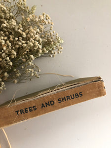 Observer book of Trees and Shrubs