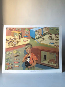 Original 1950s School Poster, ‘Pets at School'