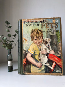 1930s Book about Pets