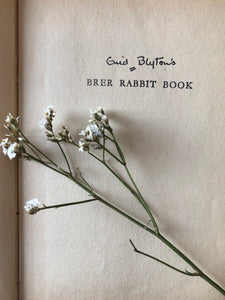 NEW - Vintage Enid Blyton Book, Brer Rabbit