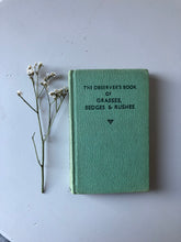 Load image into Gallery viewer, Observer Book of Grasses, Sedges &amp; Rushes