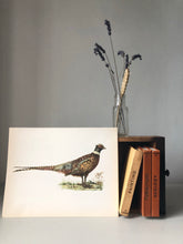 Load image into Gallery viewer, 1960s bookplate / original print of a Pheasant