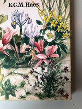 Load image into Gallery viewer, 1960&#39;s Book &#39;Winter Colour In The Garden&#39; with Illustrated Cover