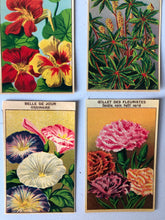 Load image into Gallery viewer, Set of Four Original French Flower Seed Labels, Nasturtium