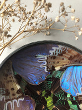Load image into Gallery viewer, Vintage Butterfly Trinket Dish