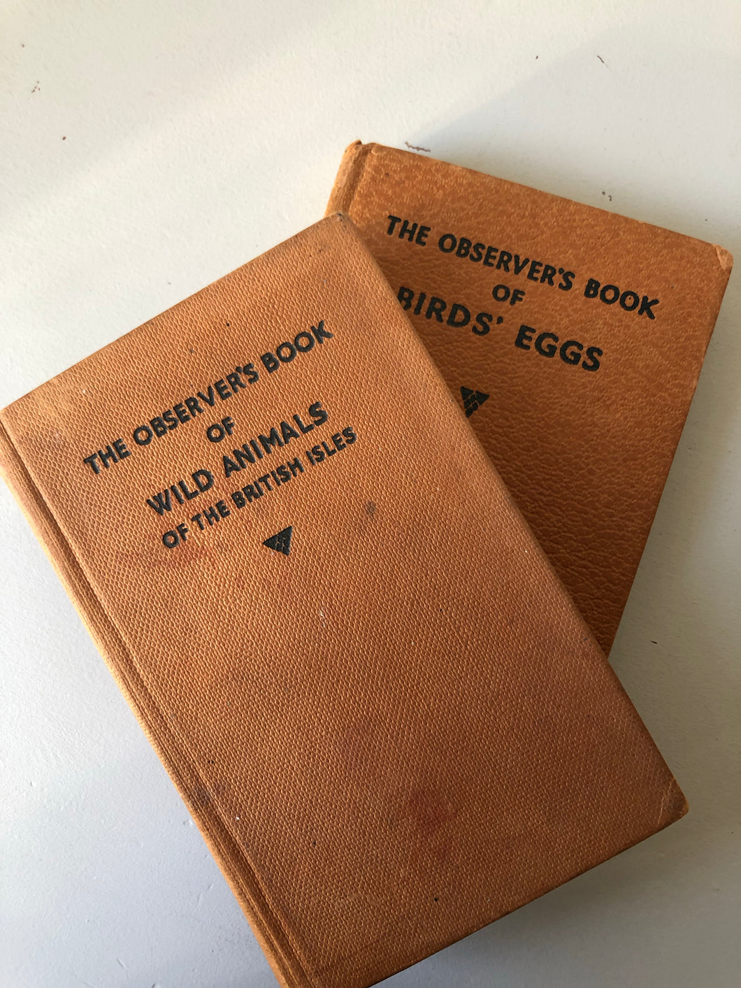 NEW - Pair of Observer Books, Birds Eggs and Wild Animals