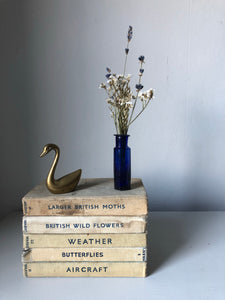 Little Vintage Brass Swan