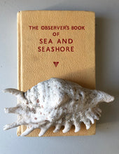 Load image into Gallery viewer, Observer book of Sea and Seashore