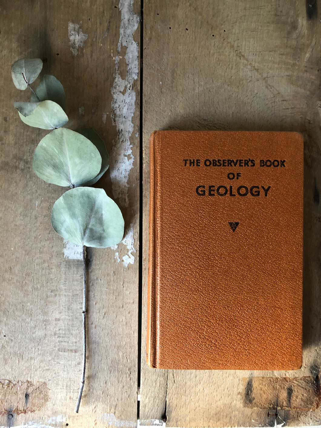 Vintage Observer Book of Geology