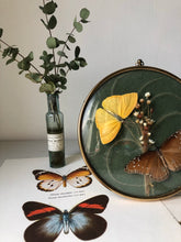Load image into Gallery viewer, Vintage Butterfly hanging