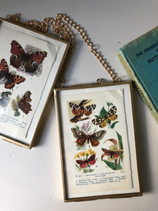 Framed 1920's Garden Butterflies Bookplate