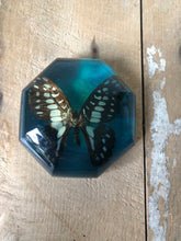 Load image into Gallery viewer, Vintage Butterfly Resin Paperweight