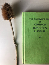 Load image into Gallery viewer, Vintage Observer Book of Insects