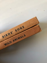 Load image into Gallery viewer, NEW - Pair of Observer Books, Birds Eggs and Wild Animals