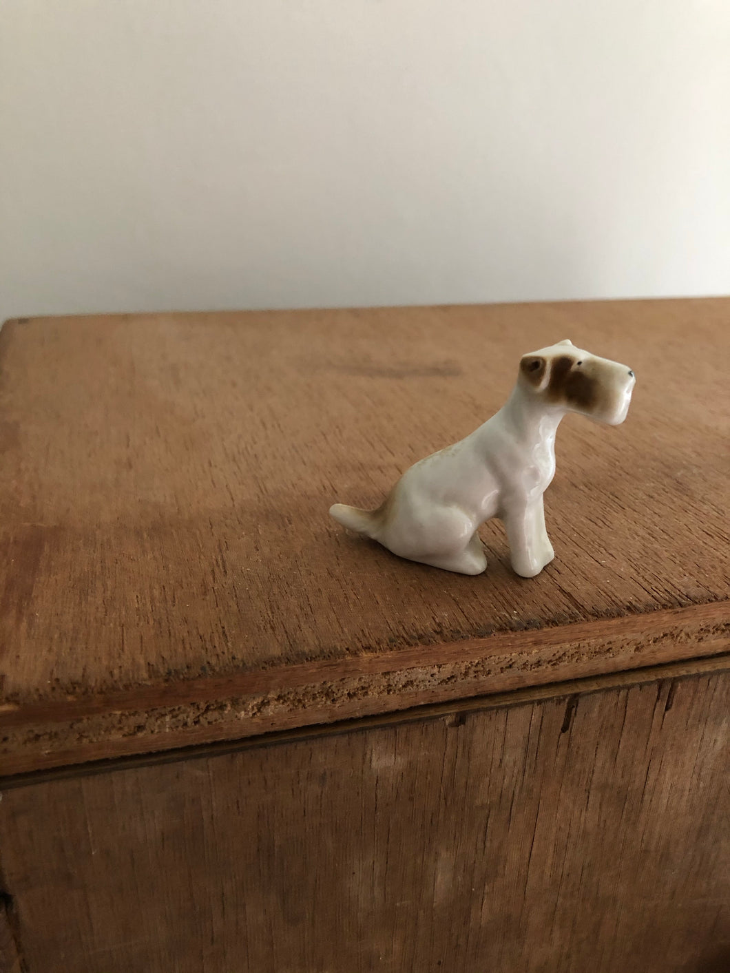 Vintage mini Terrier