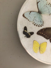 Load image into Gallery viewer, Vintage Butterfly Wall Hanging
