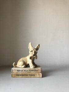 Vintage Sylvac Scottie Dog