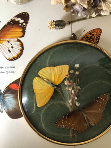 Vintage Butterfly hanging