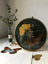 Load image into Gallery viewer, Vintage Butterfly hanging