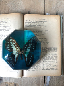 Vintage Butterfly Resin Paperweight