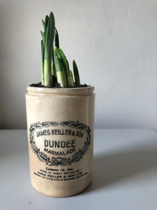 Dundee Marmalade Jar