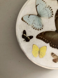 Vintage Butterfly Wall Hanging