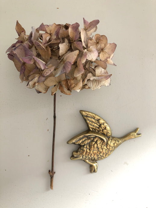 Vintage Brass Wall Duck