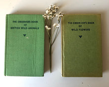 Load image into Gallery viewer, Pair of Observer Books, Wild Flowers and British Wild Animals