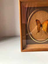 Load image into Gallery viewer, Framed Vintage Butterfly