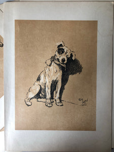 Original Cecil Aldin Dog Bookplate, Collar