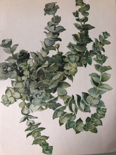 Load image into Gallery viewer, Vintage Succulent Print