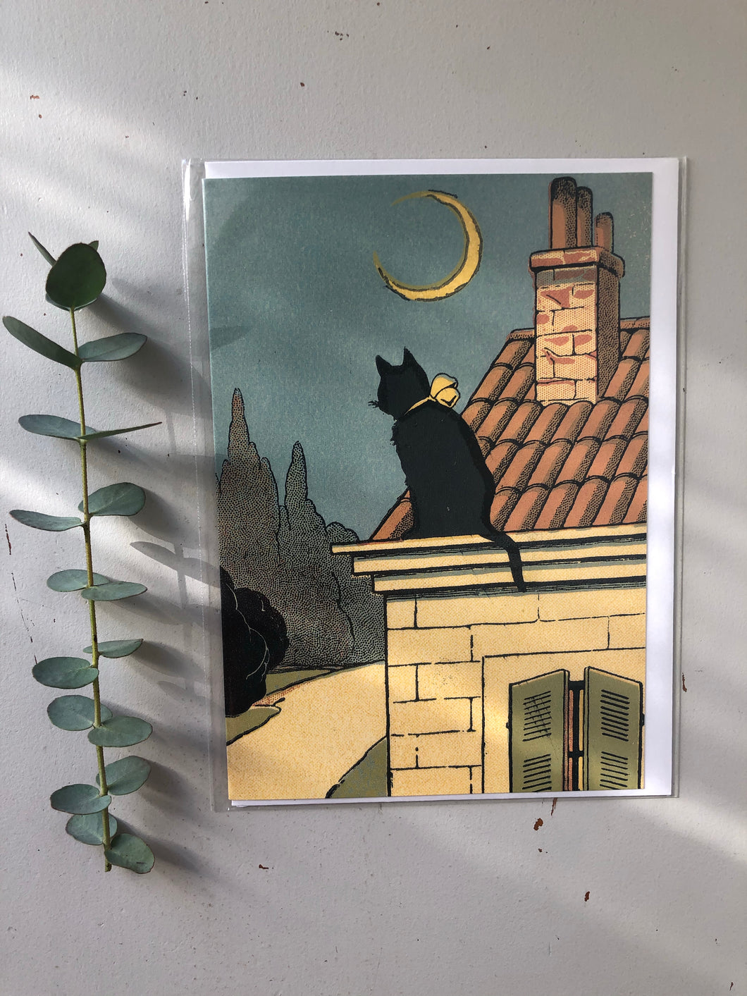 Cat and The Moon Card