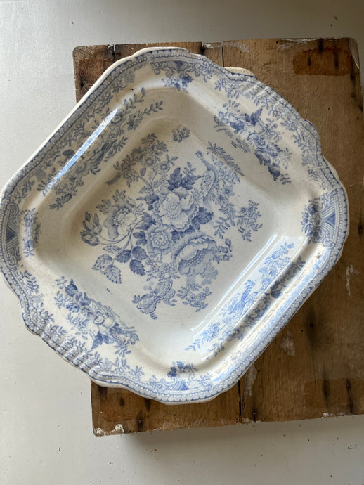 Antique Transferware Dish, Asiatic Pheasant