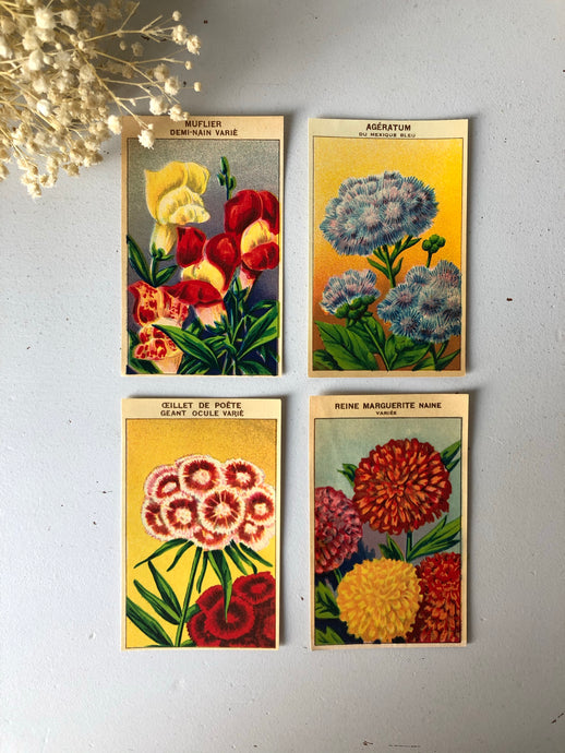 Set of Four Original French Flower Seed Labels, Snapdragon