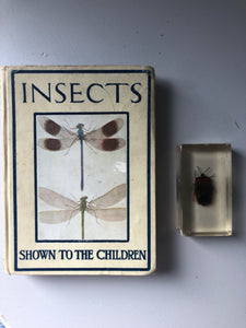 Vintage ‘Insect book for children’