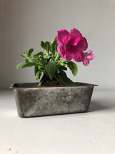 Load image into Gallery viewer, Vintage bread tin / planter