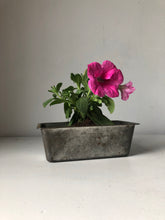 Load image into Gallery viewer, Vintage bread tin / planter