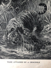 Load image into Gallery viewer, Original Tiger Sketch Bookplate