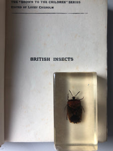 Vintage ‘Insect book for children’