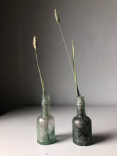 Load image into Gallery viewer, Pair of Vintage Glass Bottles