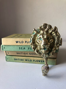 Vintage Brass Lion Hook