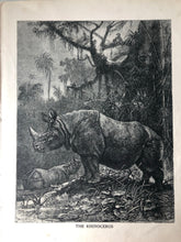 Load image into Gallery viewer, Original Rhino Sketch Bookplate